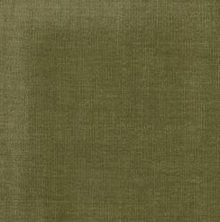 3640- Olive Elva Chenille Plain